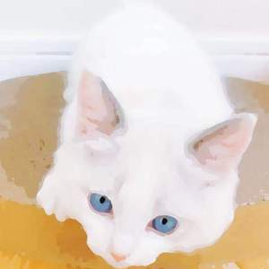 欧美成人奇葩性爱另类在线
