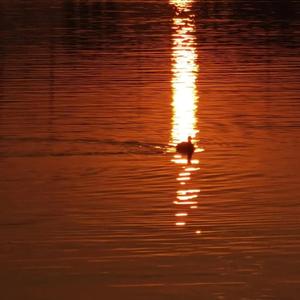 欧美成人奇葩性爱另类在线
